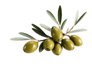 Olivenöl